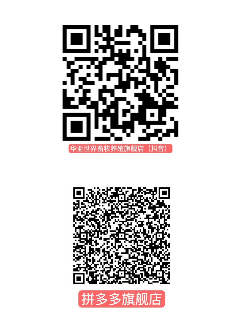 店鋪.jpg